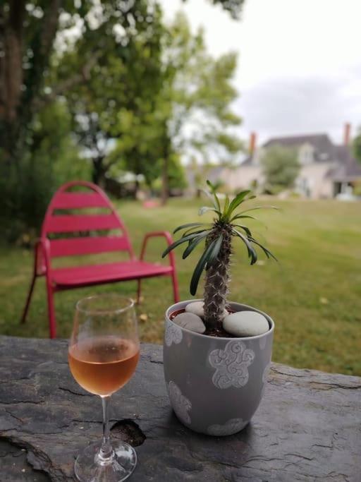 Agreable Maison Angevine Hébergement de vacances *