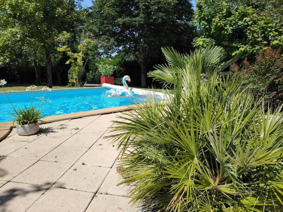 Agreable Maison Angevine Hébergement de vacances